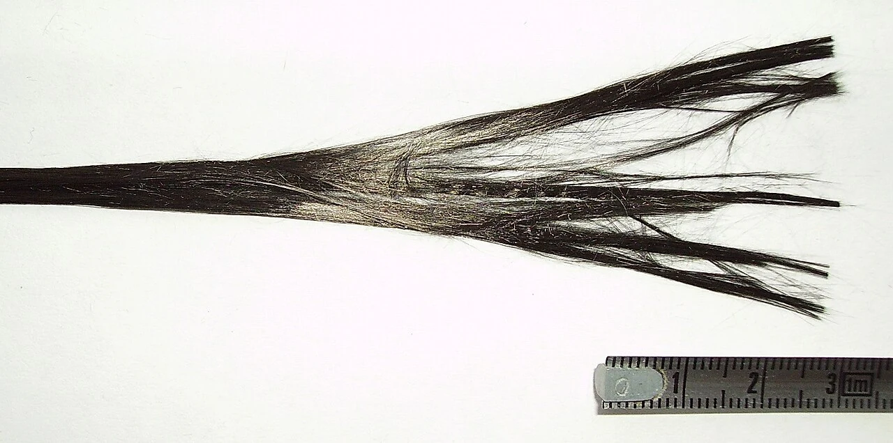 Carbon fiber manufacturing